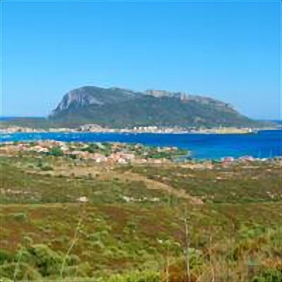 Residence Sottomonte Golfo Aranci Exterior foto